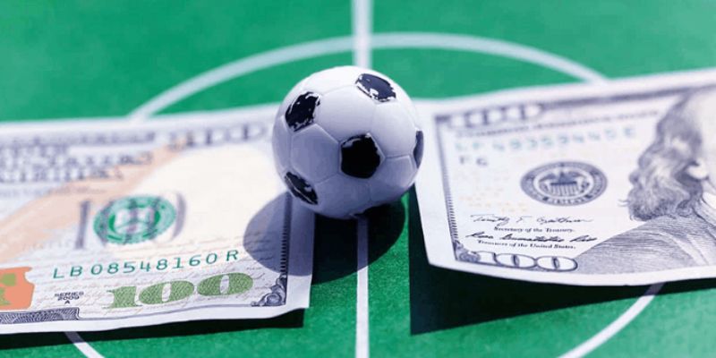 Đa dạng thể loại cá cược